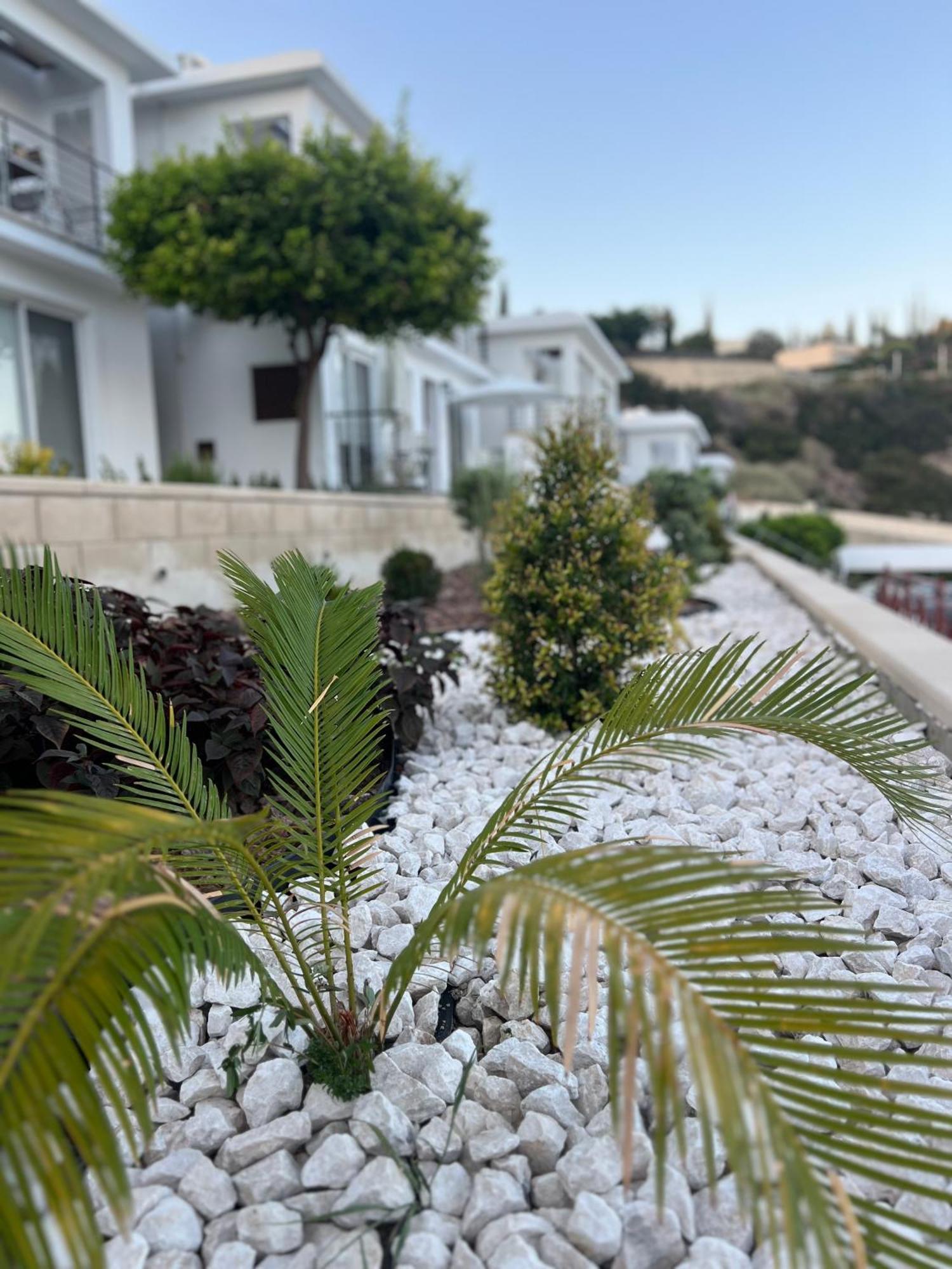 Pissouri Image Apartment Exterior photo